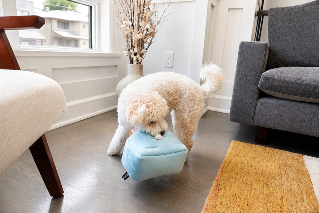 Blu's Deluxe Meal - 7-Piece Interactive Dog Toy Bundle